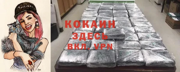 твердый Белоозёрский